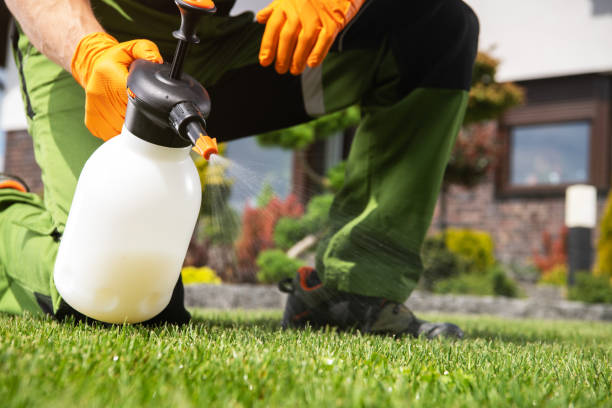 Best Bird Control  in Evergreen, AL