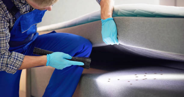 Best Cockroach Control Services  in Evergreen, AL
