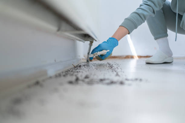 Wildlife Control Services in Evergreen, AL