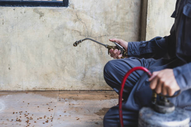 Best Mosquito Control Services  in Evergreen, AL